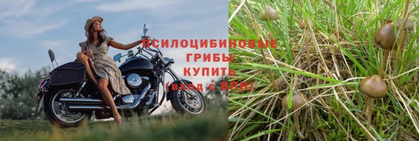 молекула духа Куйбышев