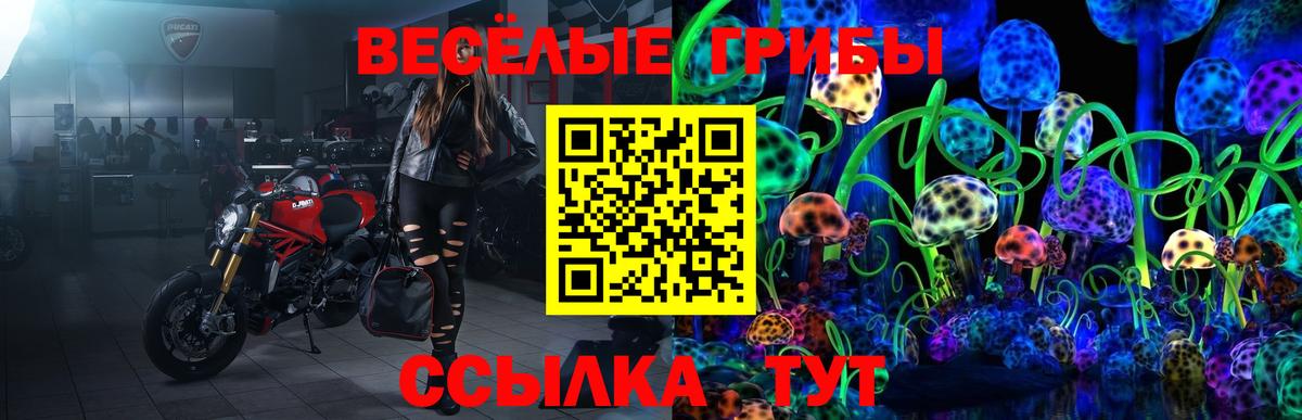 Псилоцибиновые грибы ЛСД  Псилоцибиновые грибы Psilocybine cubensis  Вход с VPN  Невинномысск 
